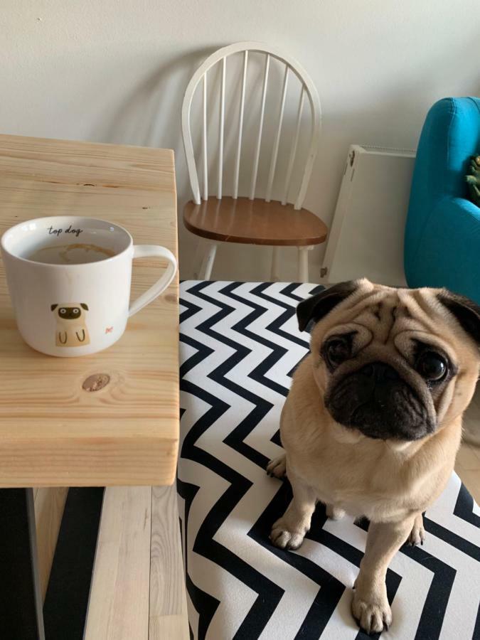 Cute Pug Guest Room Copenhagen Exterior photo