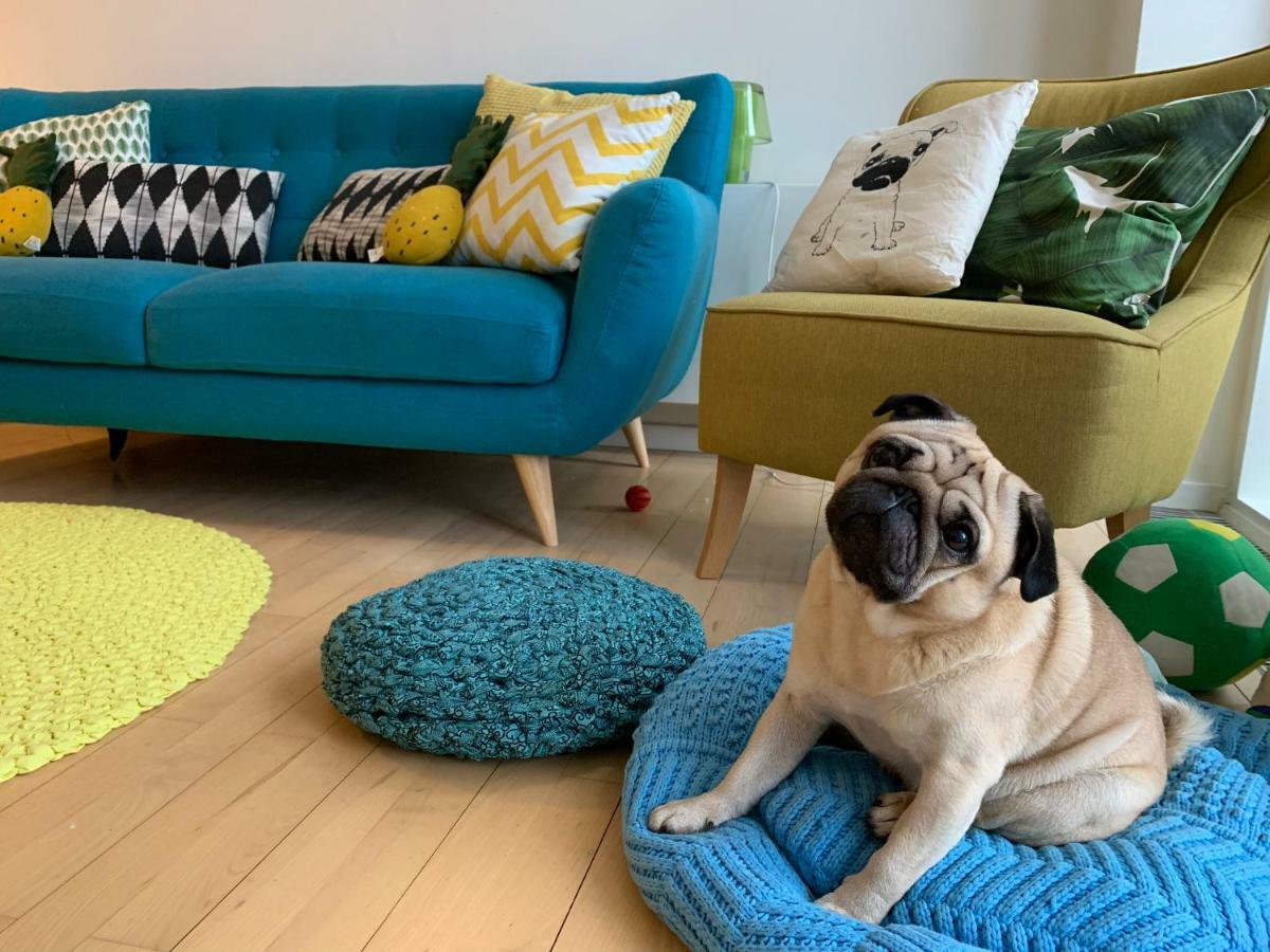 Cute Pug Guest Room Copenhagen Exterior photo